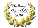 Challenge petit bac 2014